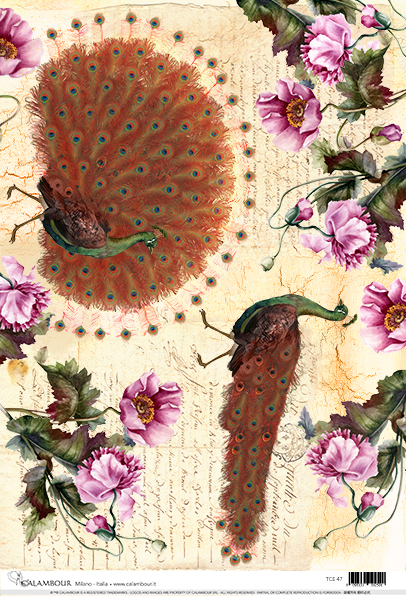Carta da Découpage Animali (TC-47)