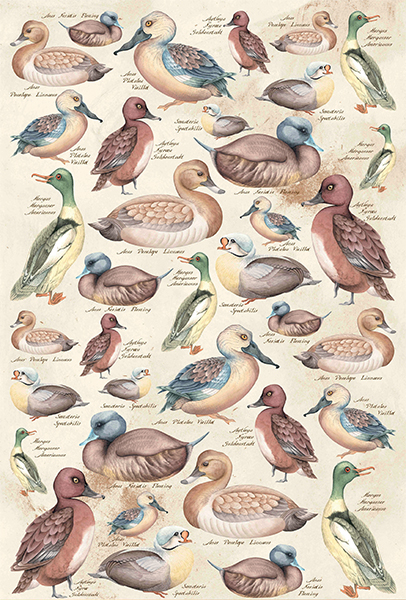 Carta da Découpage Animali (CAL-118-F)