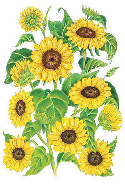 Carta da Découpage Fiori (CAL-126-F)