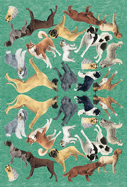 Carta da Découpage Animali (CAL-20)