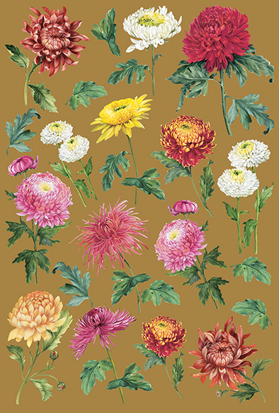 Carta da Découpage Fiori (CAL-223)