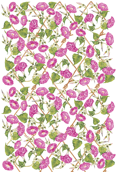 Carta da Découpage Fiori (CAL-99)