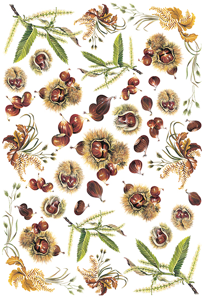 Carta da Découpage Frutta (EASY-245)