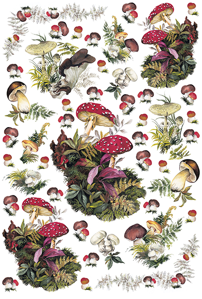 Carta da Découpage Piante (EASY-247)