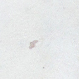 Swatch image
