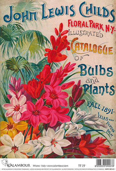 Carta da Découpage Fiori (TT-77)