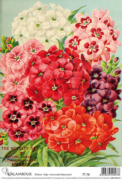 Carta da Découpage Fiori (TT-79)