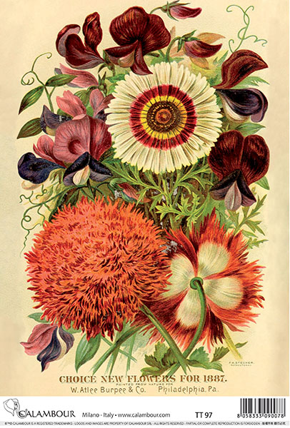 Carta da Découpage Fiori (TT-97)